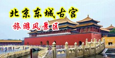 日本嫩泬12p中国北京-东城古宫旅游风景区